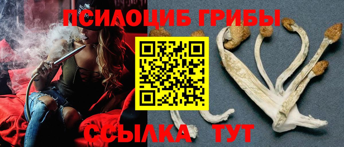 Галлюциногенные грибы Magic Shrooms  Галлюциногенные грибы прущие грибы  Вход с VPN  Родники 
